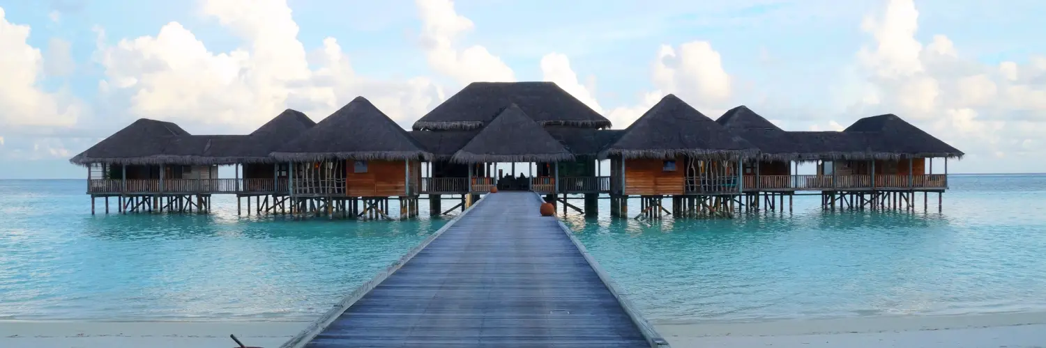 Find Your Special Tour with Us